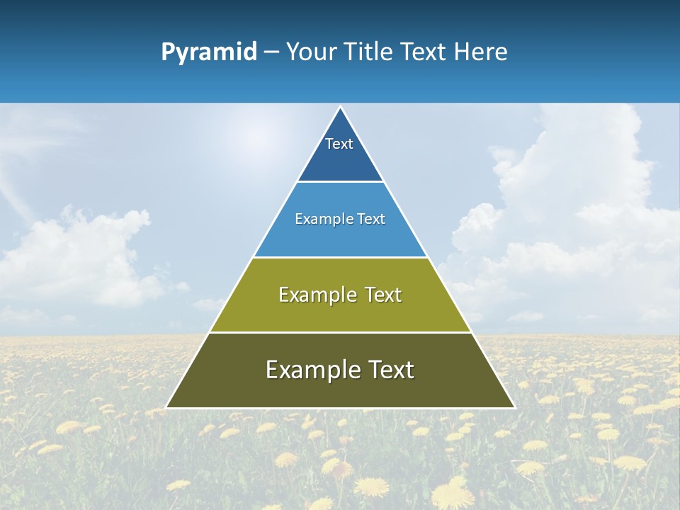 A Field Full Of Yellow Dandelions Under A Blue Sky PowerPoint Template