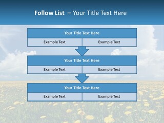A Field Full Of Yellow Dandelions Under A Blue Sky PowerPoint Template