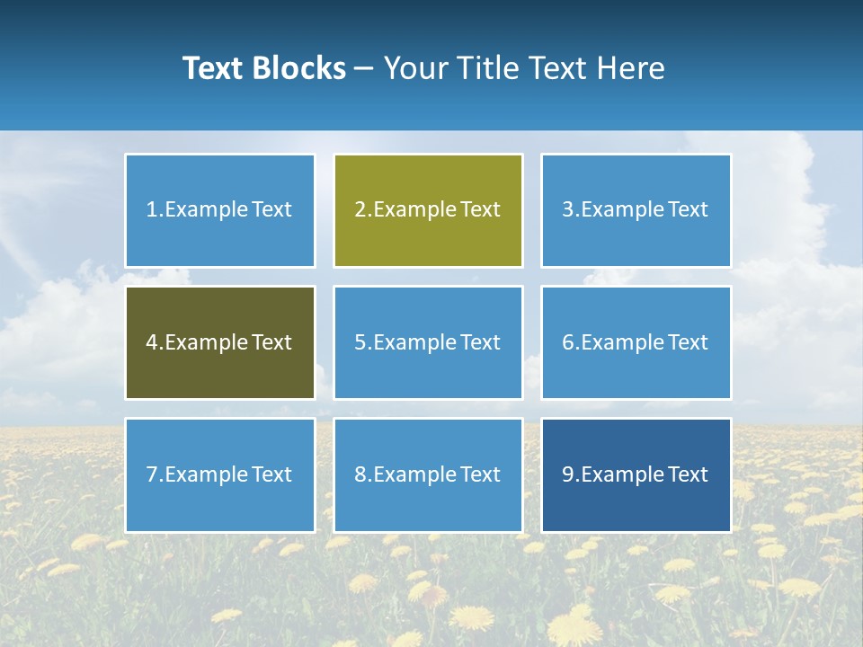 A Field Full Of Yellow Dandelions Under A Blue Sky PowerPoint Template