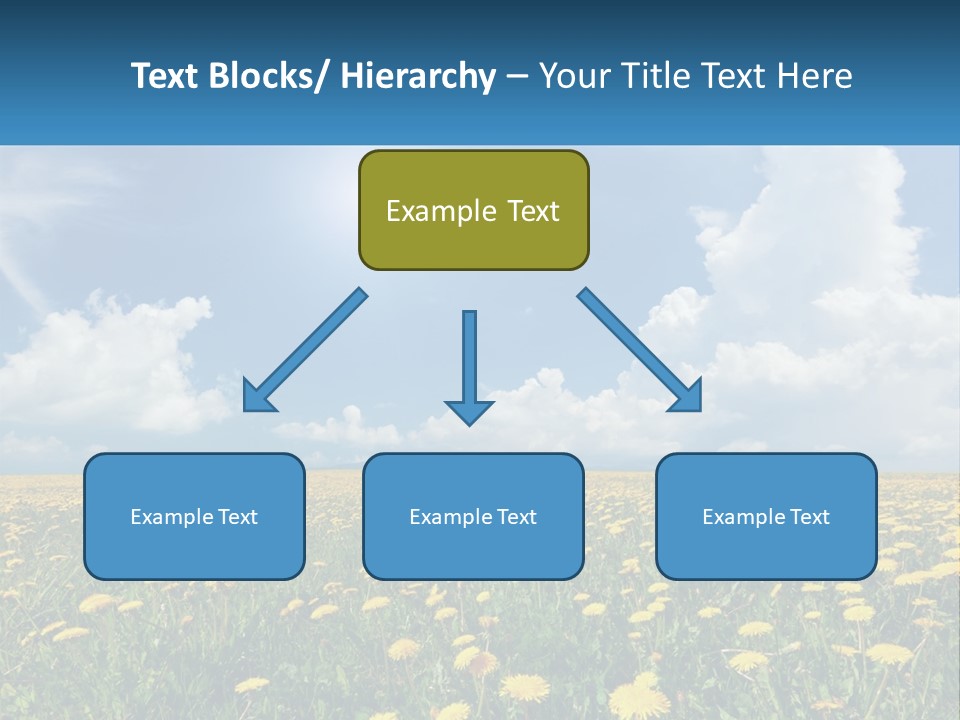 A Field Full Of Yellow Dandelions Under A Blue Sky PowerPoint Template