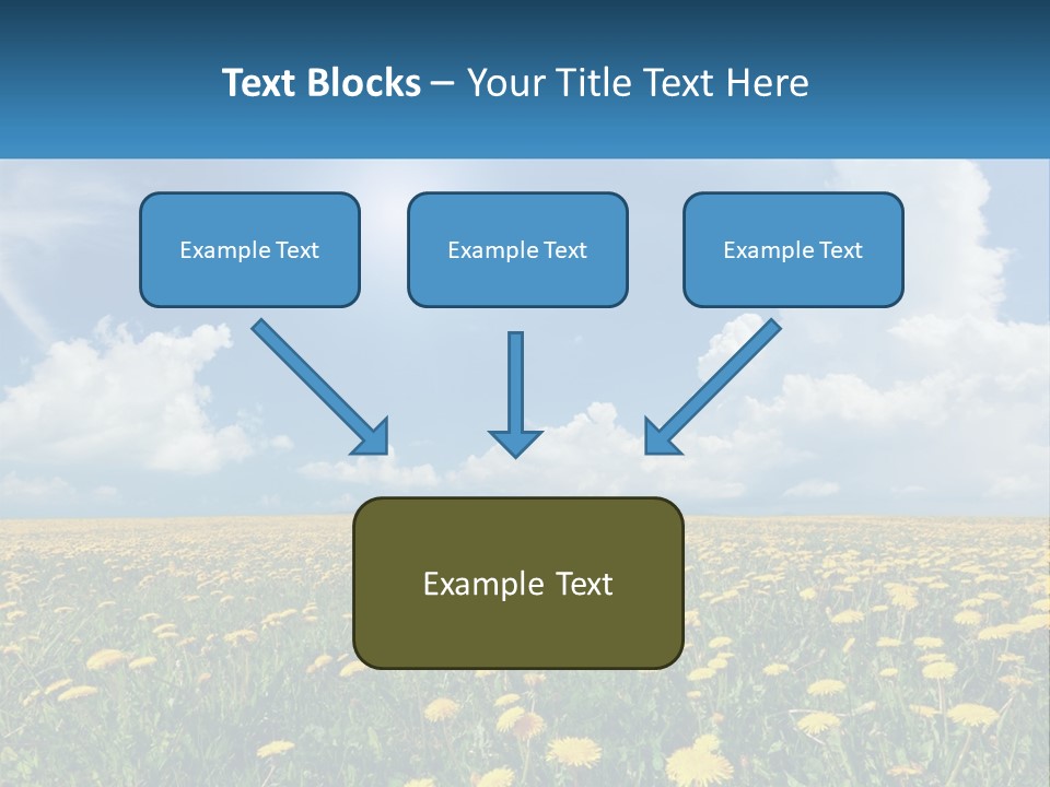 A Field Full Of Yellow Dandelions Under A Blue Sky PowerPoint Template
