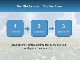 A Field Full Of Yellow Dandelions Under A Blue Sky PowerPoint Template