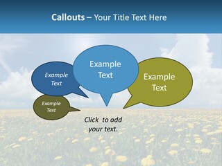 A Field Full Of Yellow Dandelions Under A Blue Sky PowerPoint Template