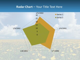 A Field Full Of Yellow Dandelions Under A Blue Sky PowerPoint Template