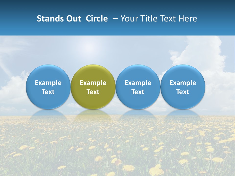 A Field Full Of Yellow Dandelions Under A Blue Sky PowerPoint Template