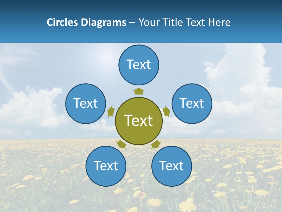 A Field Full Of Yellow Dandelions Under A Blue Sky PowerPoint Template