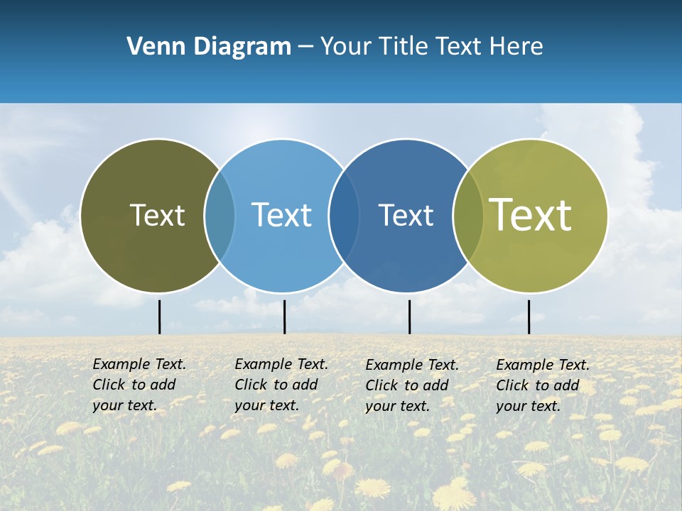 A Field Full Of Yellow Dandelions Under A Blue Sky PowerPoint Template