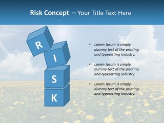 A Field Full Of Yellow Dandelions Under A Blue Sky PowerPoint Template