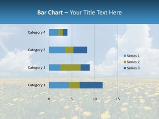 A Field Full Of Yellow Dandelions Under A Blue Sky PowerPoint Template