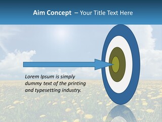 A Field Full Of Yellow Dandelions Under A Blue Sky PowerPoint Template
