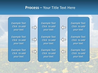 A Field Full Of Yellow Dandelions Under A Blue Sky PowerPoint Template
