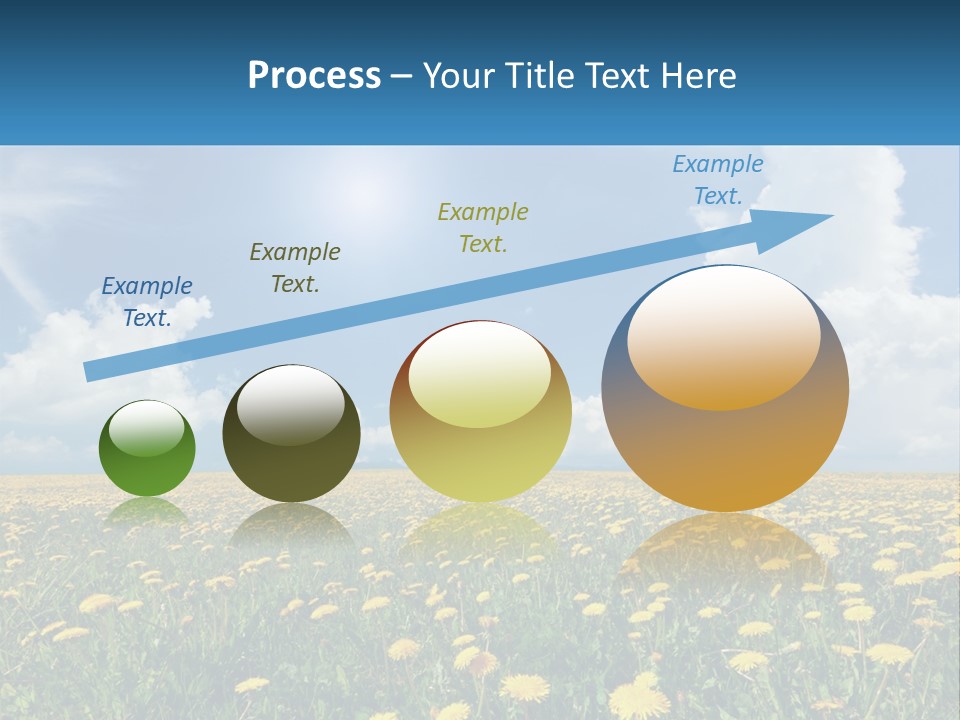 A Field Full Of Yellow Dandelions Under A Blue Sky PowerPoint Template