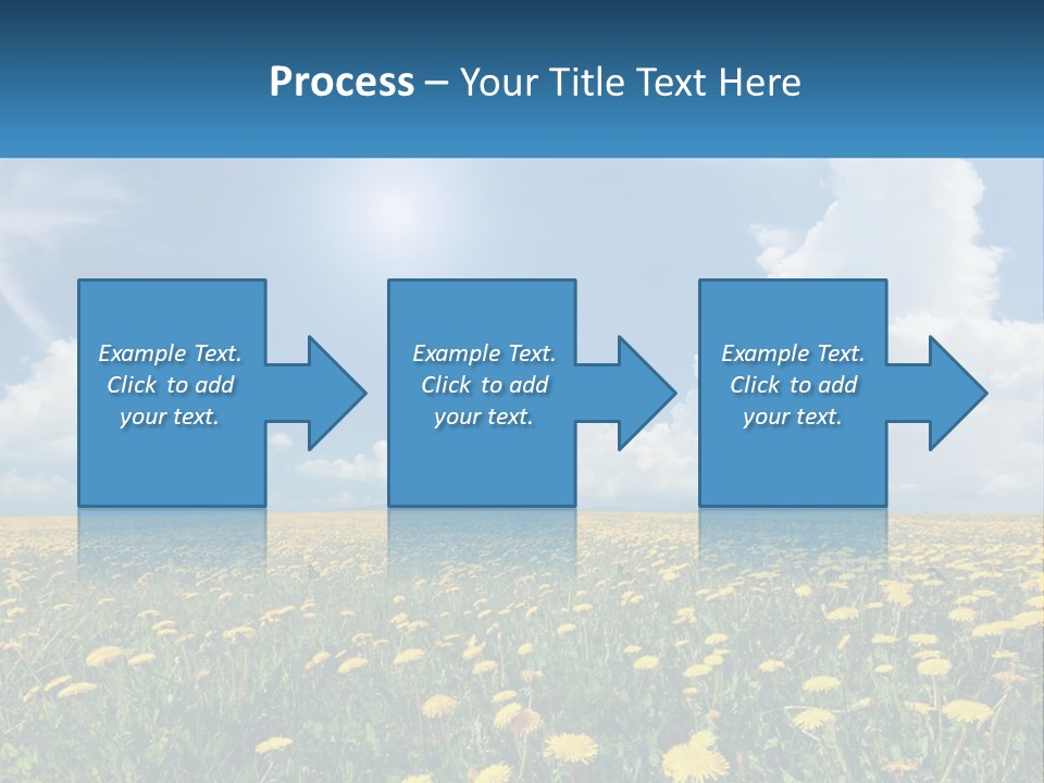 A Field Full Of Yellow Dandelions Under A Blue Sky PowerPoint Template