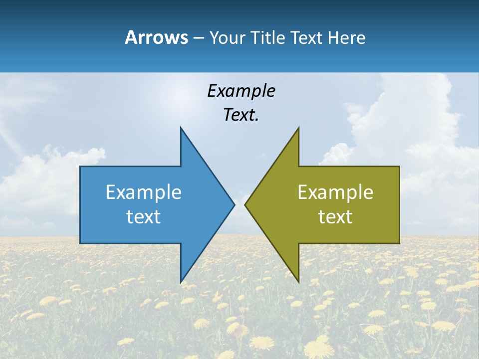 A Field Full Of Yellow Dandelions Under A Blue Sky PowerPoint Template