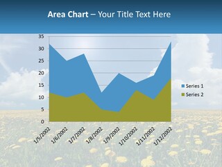A Field Full Of Yellow Dandelions Under A Blue Sky PowerPoint Template