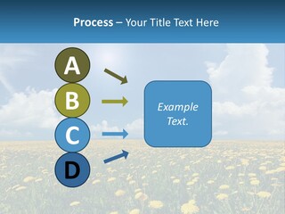 A Field Full Of Yellow Dandelions Under A Blue Sky PowerPoint Template