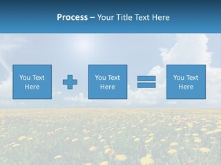 A Field Full Of Yellow Dandelions Under A Blue Sky PowerPoint Template