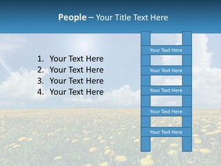 A Field Full Of Yellow Dandelions Under A Blue Sky PowerPoint Template