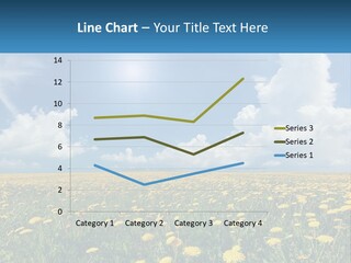 A Field Full Of Yellow Dandelions Under A Blue Sky PowerPoint Template