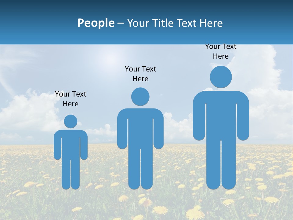 A Field Full Of Yellow Dandelions Under A Blue Sky PowerPoint Template