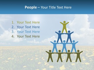 A Field Full Of Yellow Dandelions Under A Blue Sky PowerPoint Template