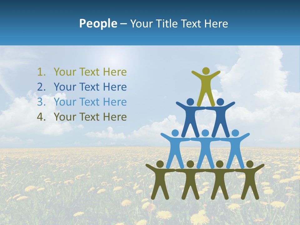 A Field Full Of Yellow Dandelions Under A Blue Sky PowerPoint Template