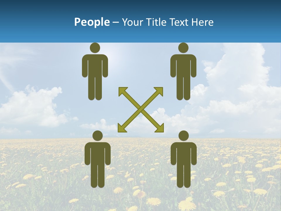 A Field Full Of Yellow Dandelions Under A Blue Sky PowerPoint Template