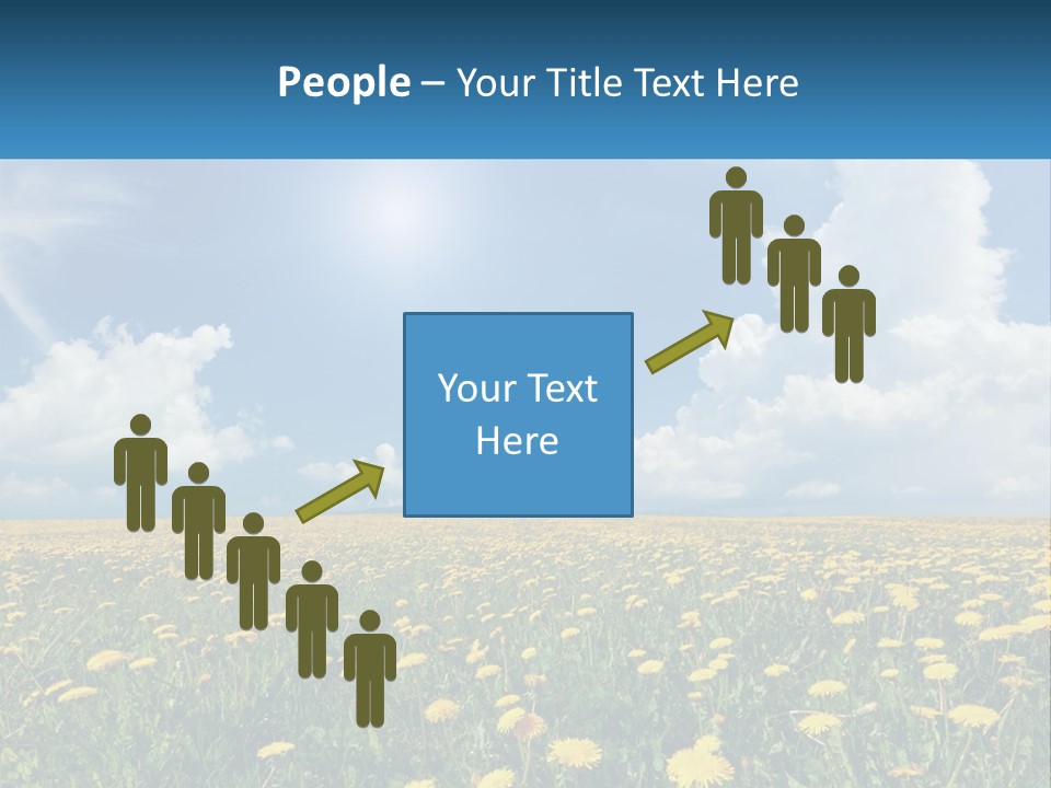 A Field Full Of Yellow Dandelions Under A Blue Sky PowerPoint Template