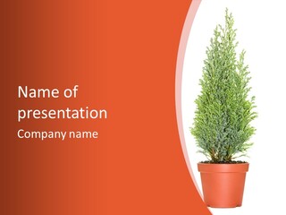 A Potted Plant With A White Background PowerPoint Template