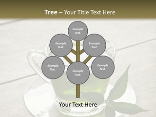 A Cup Of Green Tea With A Leaf On A Saucer PowerPoint Template