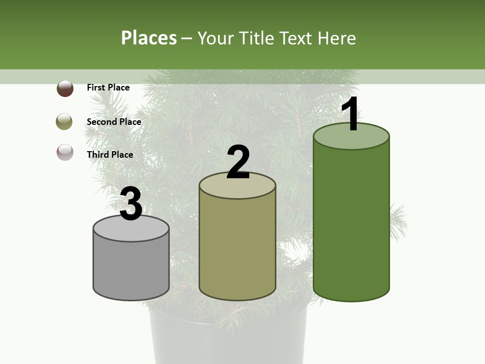 A Plant In A Pot On A White Background PowerPoint Template