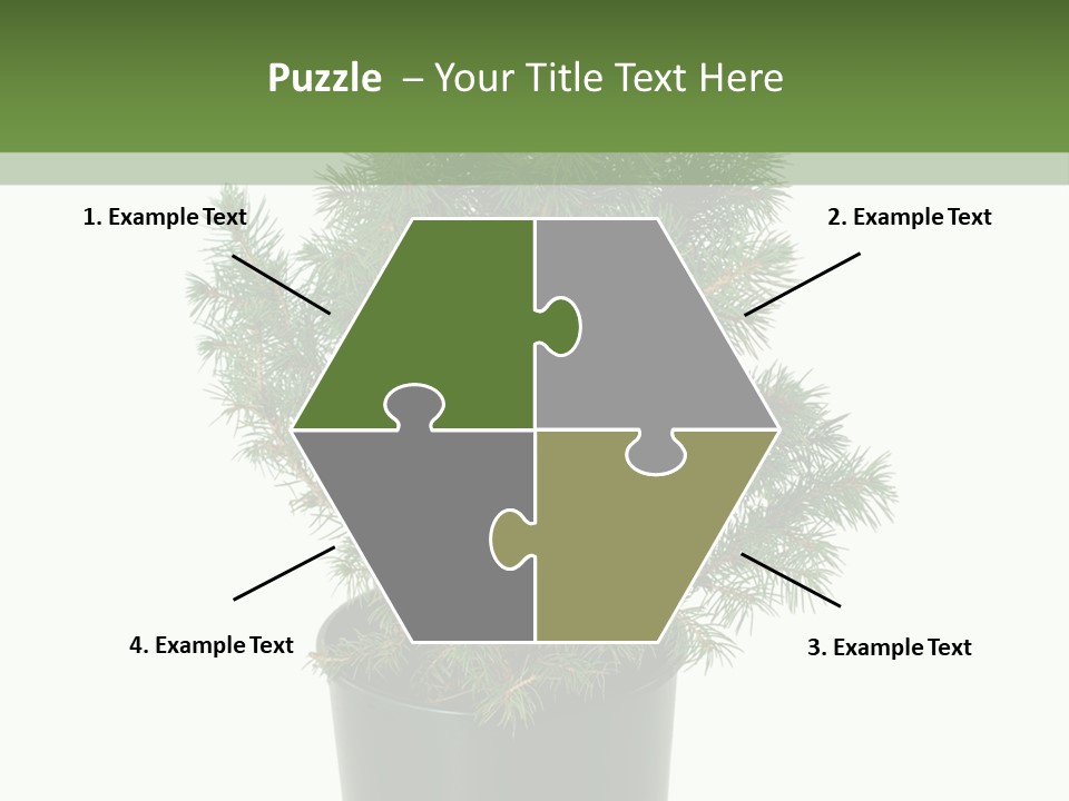 A Plant In A Pot On A White Background PowerPoint Template