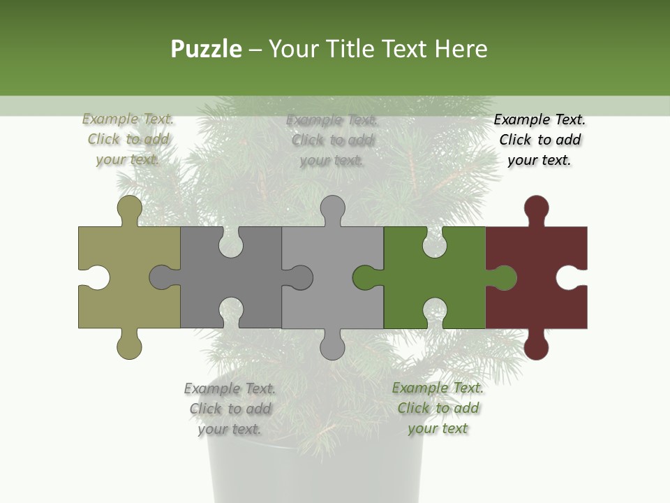 A Plant In A Pot On A White Background PowerPoint Template