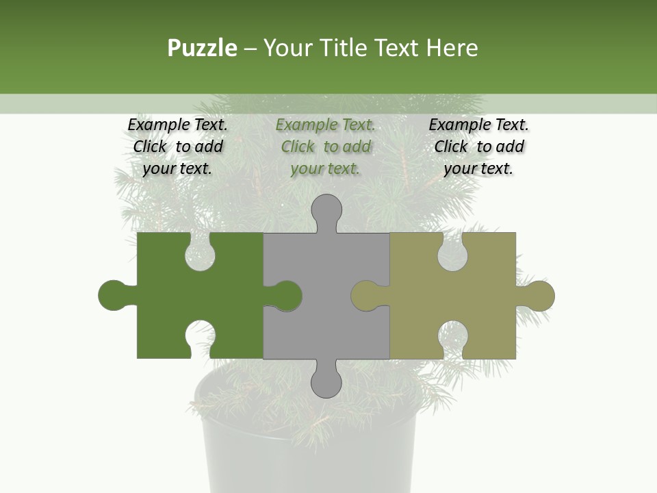 A Plant In A Pot On A White Background PowerPoint Template