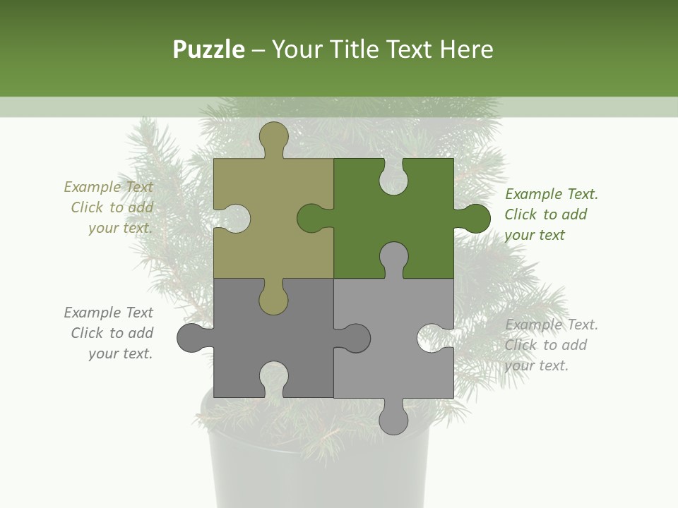 A Plant In A Pot On A White Background PowerPoint Template