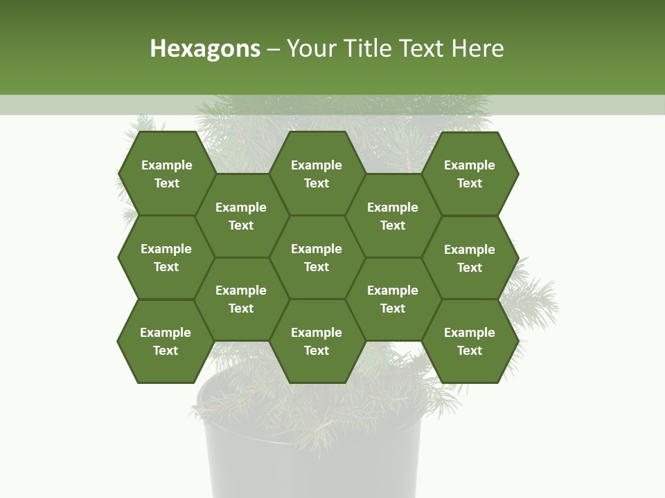 A Plant In A Pot On A White Background PowerPoint Template