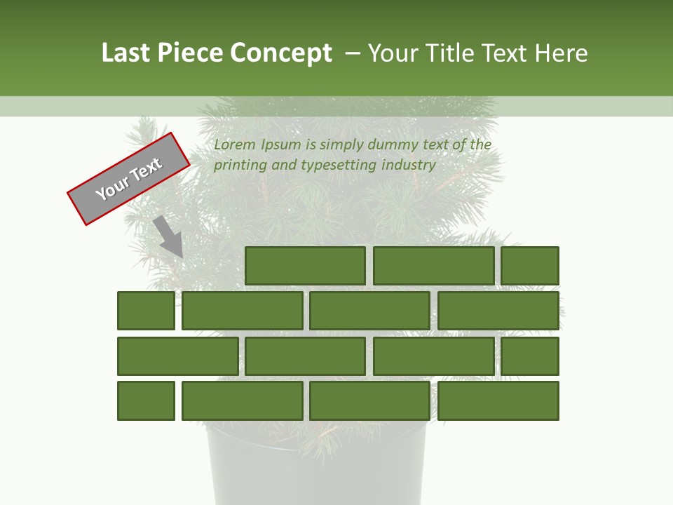 A Plant In A Pot On A White Background PowerPoint Template