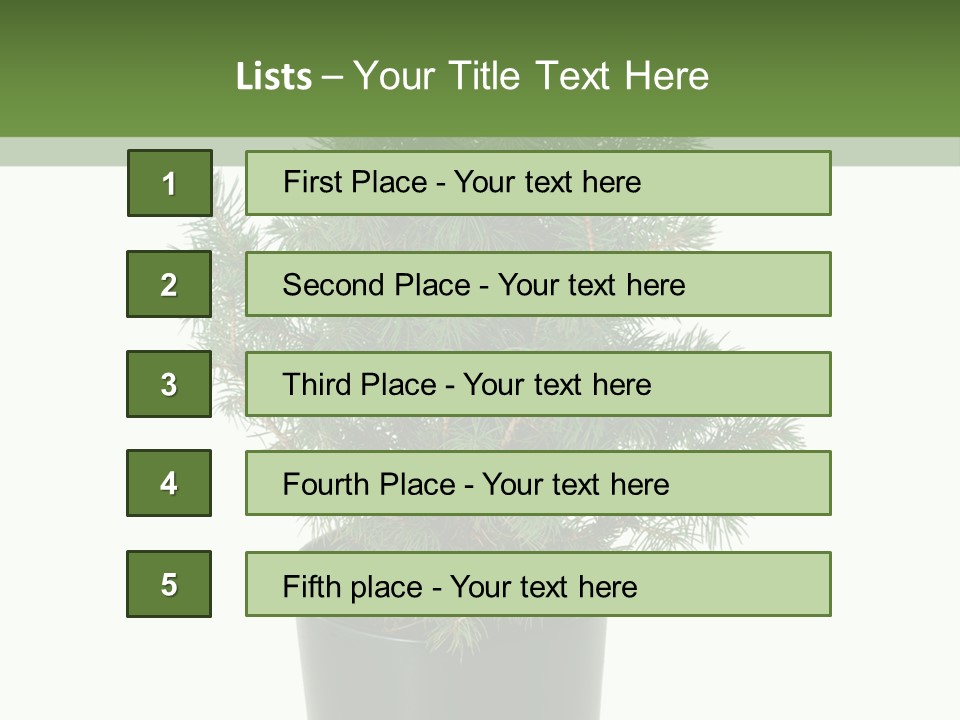 A Plant In A Pot On A White Background PowerPoint Template