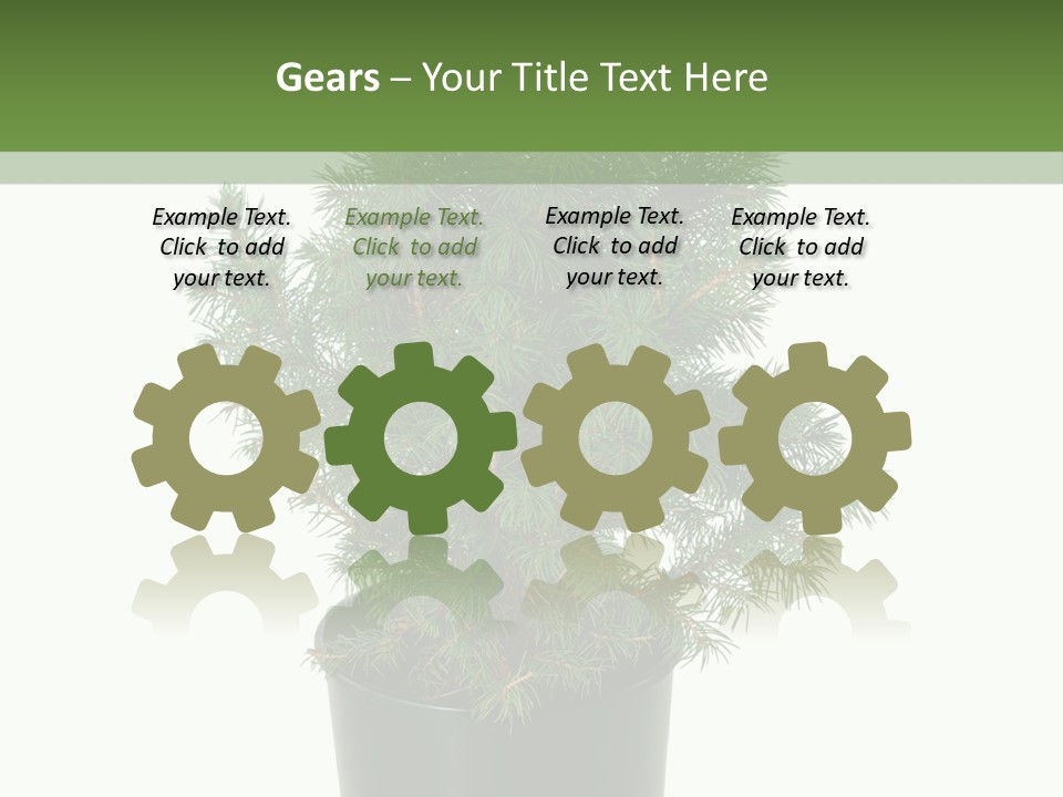 A Plant In A Pot On A White Background PowerPoint Template