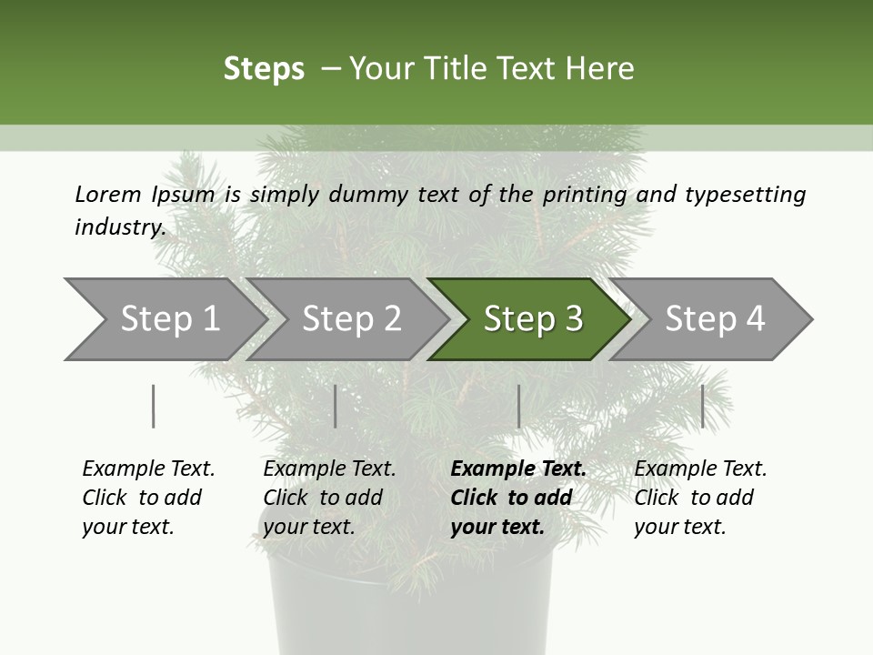 A Plant In A Pot On A White Background PowerPoint Template