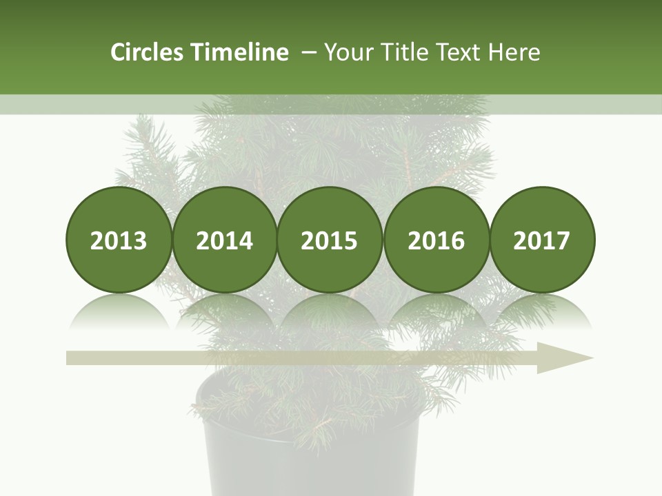 A Plant In A Pot On A White Background PowerPoint Template