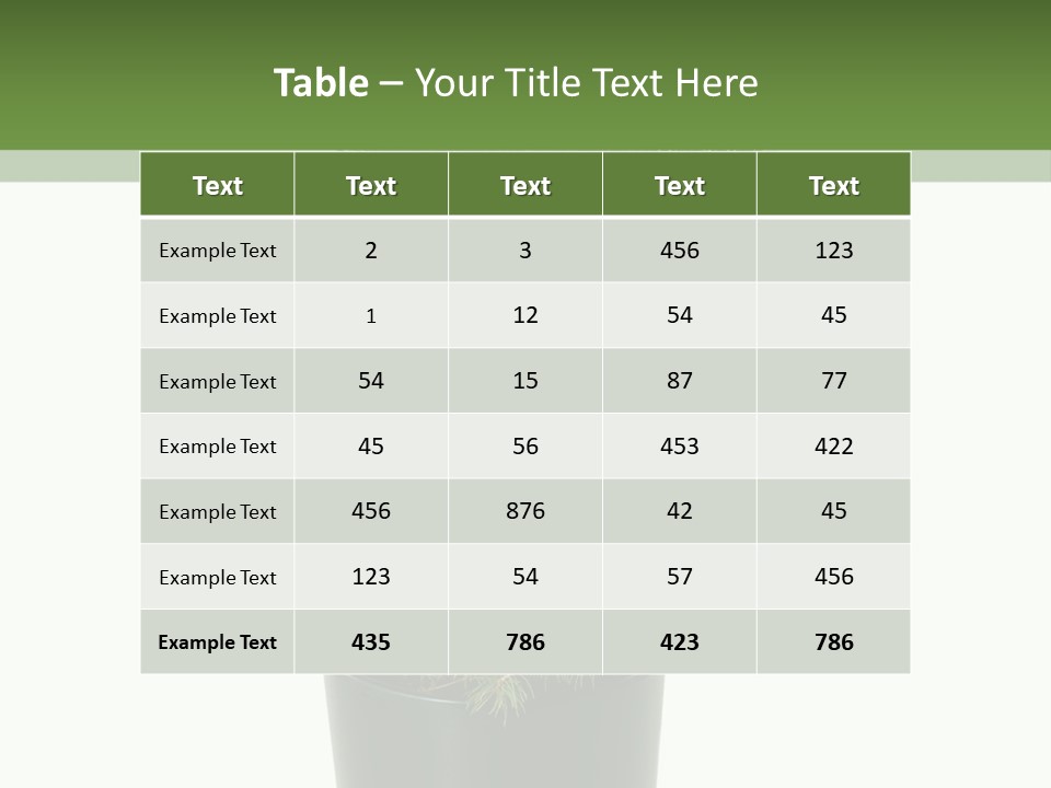 A Plant In A Pot On A White Background PowerPoint Template