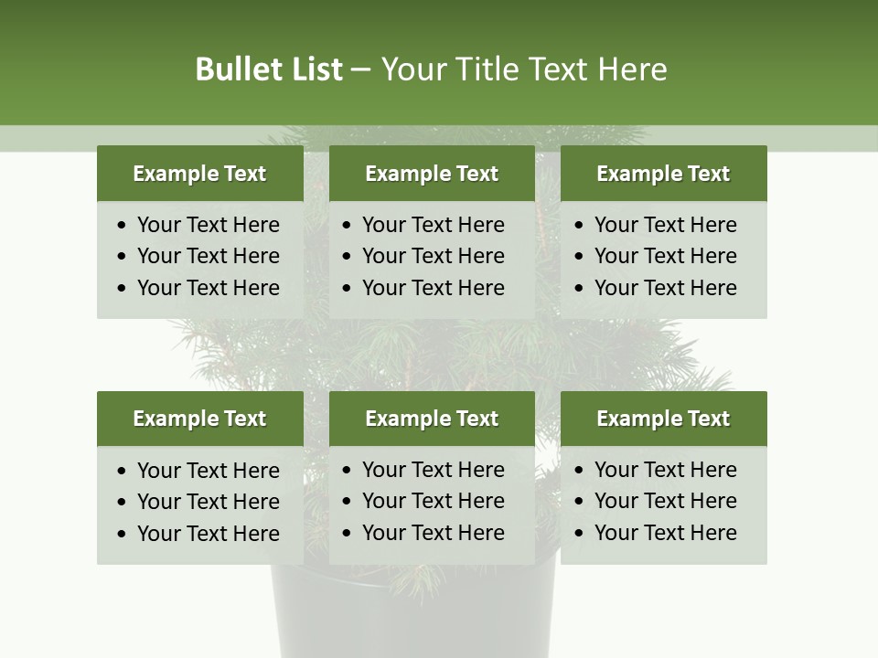 A Plant In A Pot On A White Background PowerPoint Template