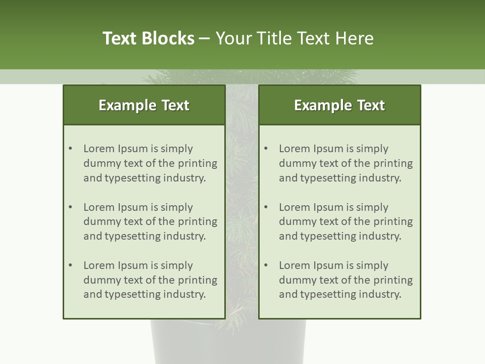 A Plant In A Pot On A White Background PowerPoint Template