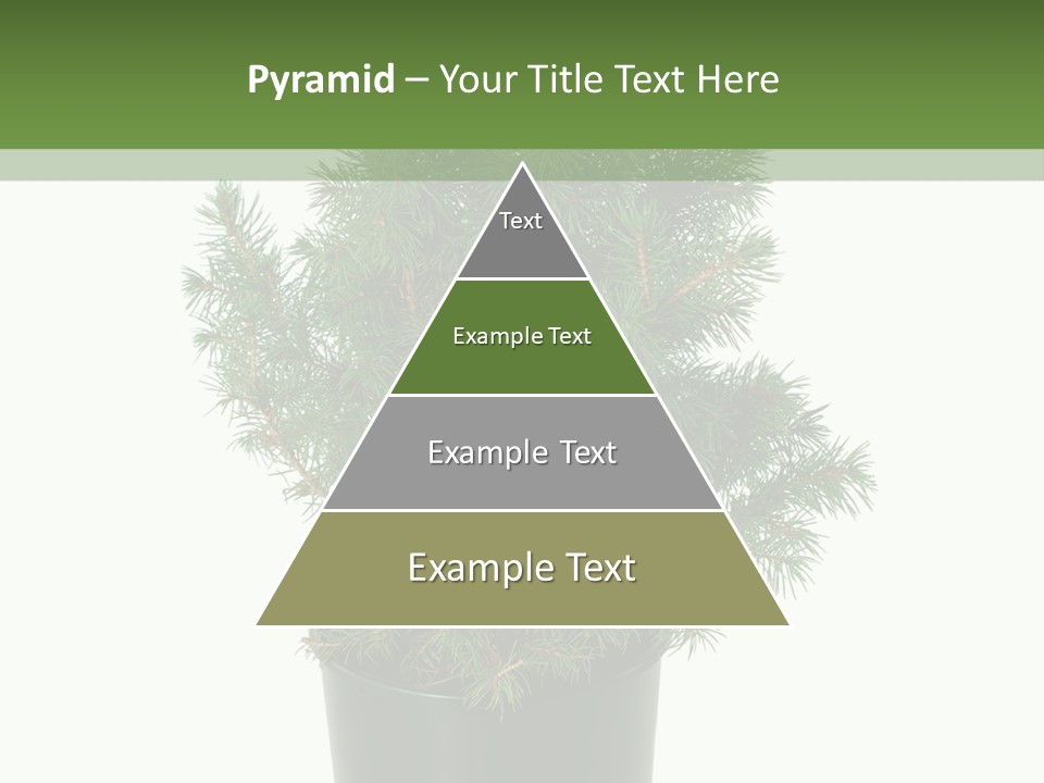 A Plant In A Pot On A White Background PowerPoint Template