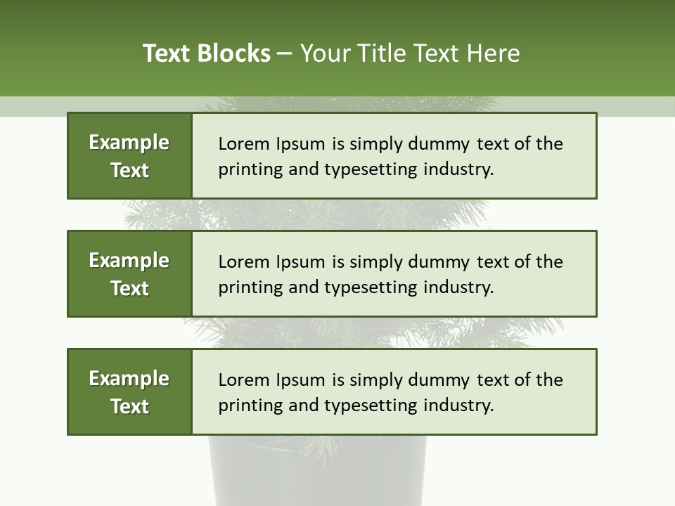 A Plant In A Pot On A White Background PowerPoint Template