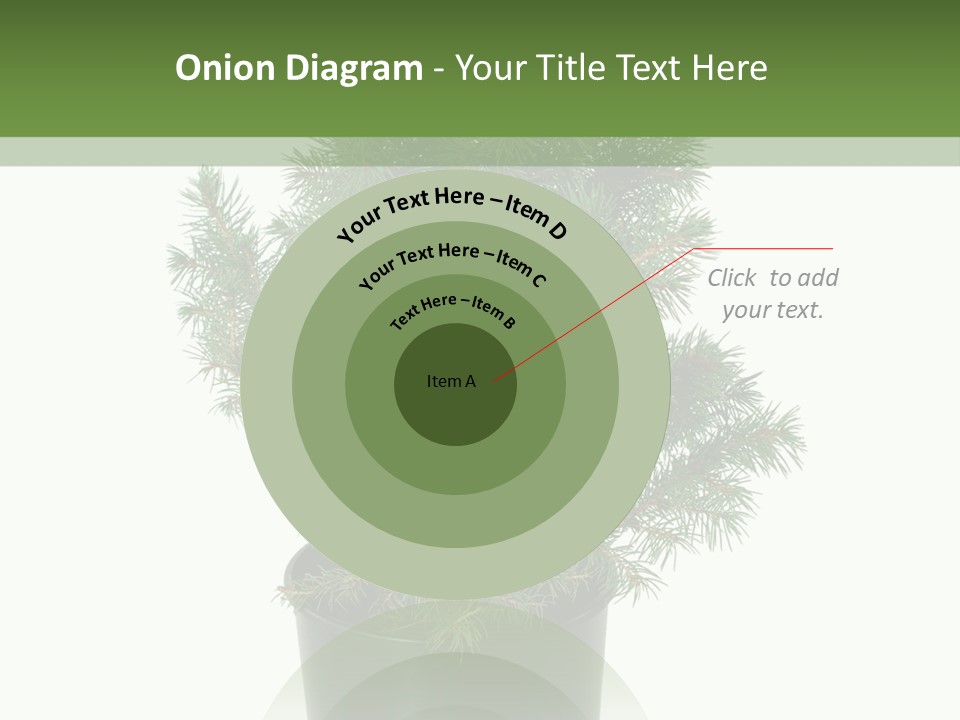 A Plant In A Pot On A White Background PowerPoint Template