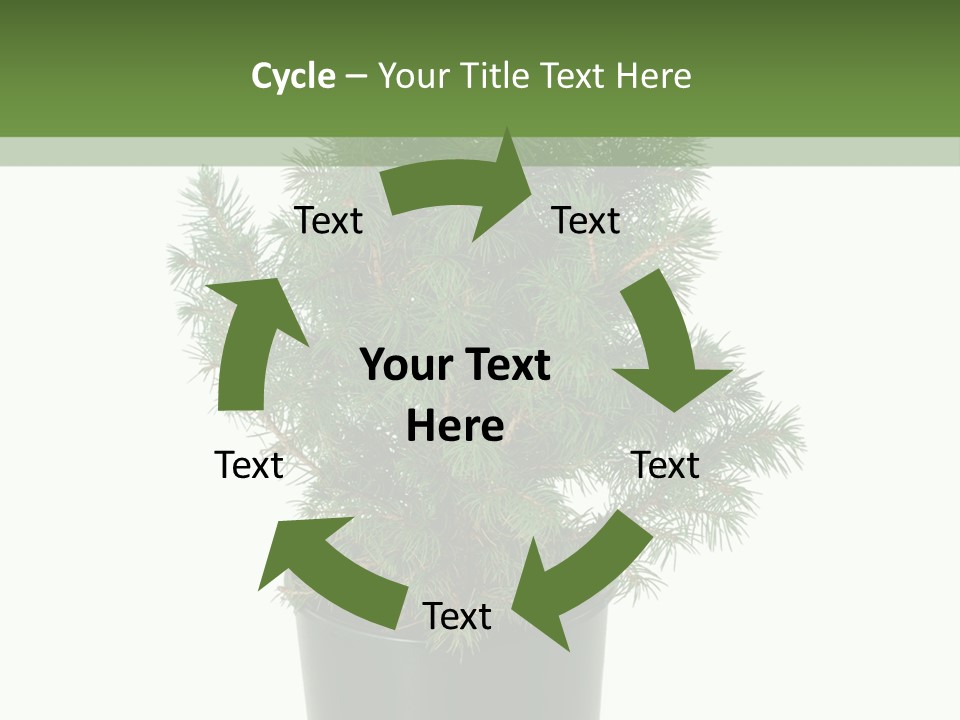 A Plant In A Pot On A White Background PowerPoint Template