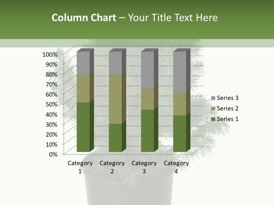 A Plant In A Pot On A White Background PowerPoint Template