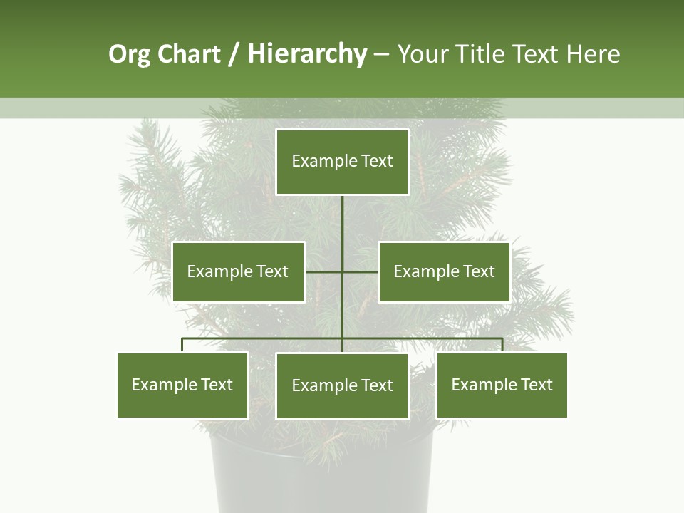 A Plant In A Pot On A White Background PowerPoint Template